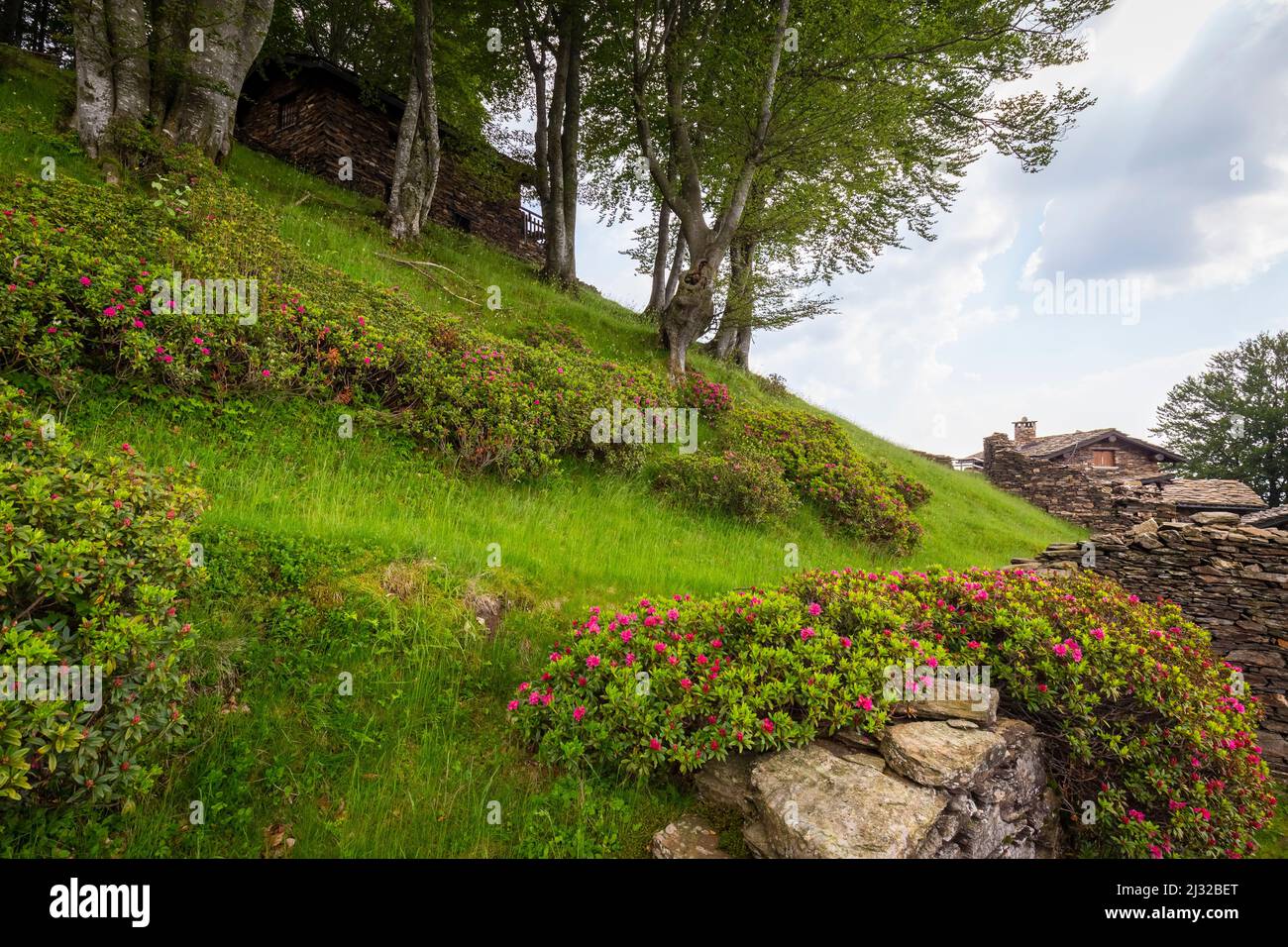 Vue sur le village de montagne d'Alpone di Curiglia. Curiglia con Monteviasco, vallée de Veddasca, quartier de Varèse, Lombardie, Italie. Banque D'Images