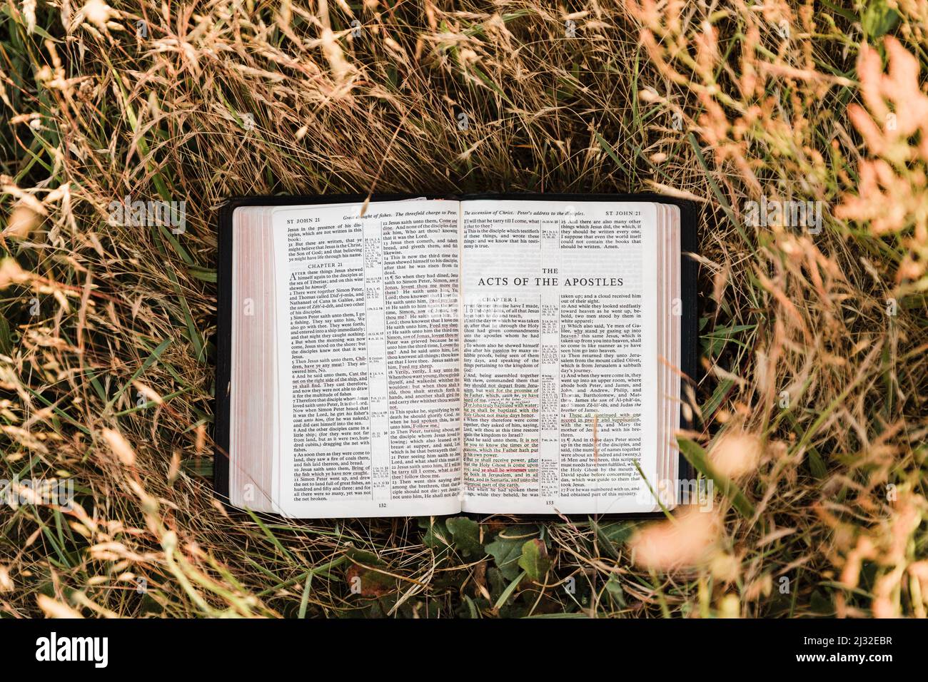 La Sainte Bible chrétienne s'ouvre dans un champ chaud et ensoleillé au livre des actes de l'Apôtre Banque D'Images