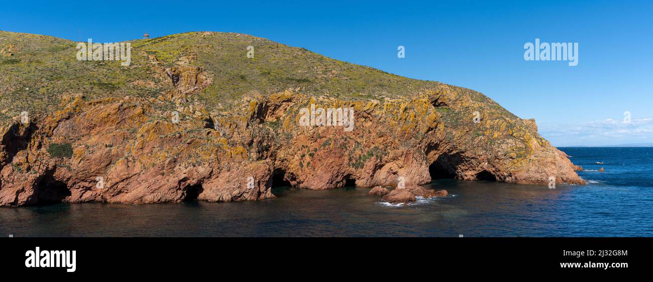 Vue sur les falaises sauvages et les grottes de l'île de Berlenga Grande Banque D'Images