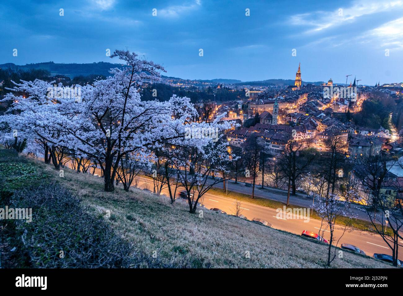 Vue depuis Rosengarten sur le centre historique de Berne pendant la floraison des cerisiers au printemps Banque D'Images