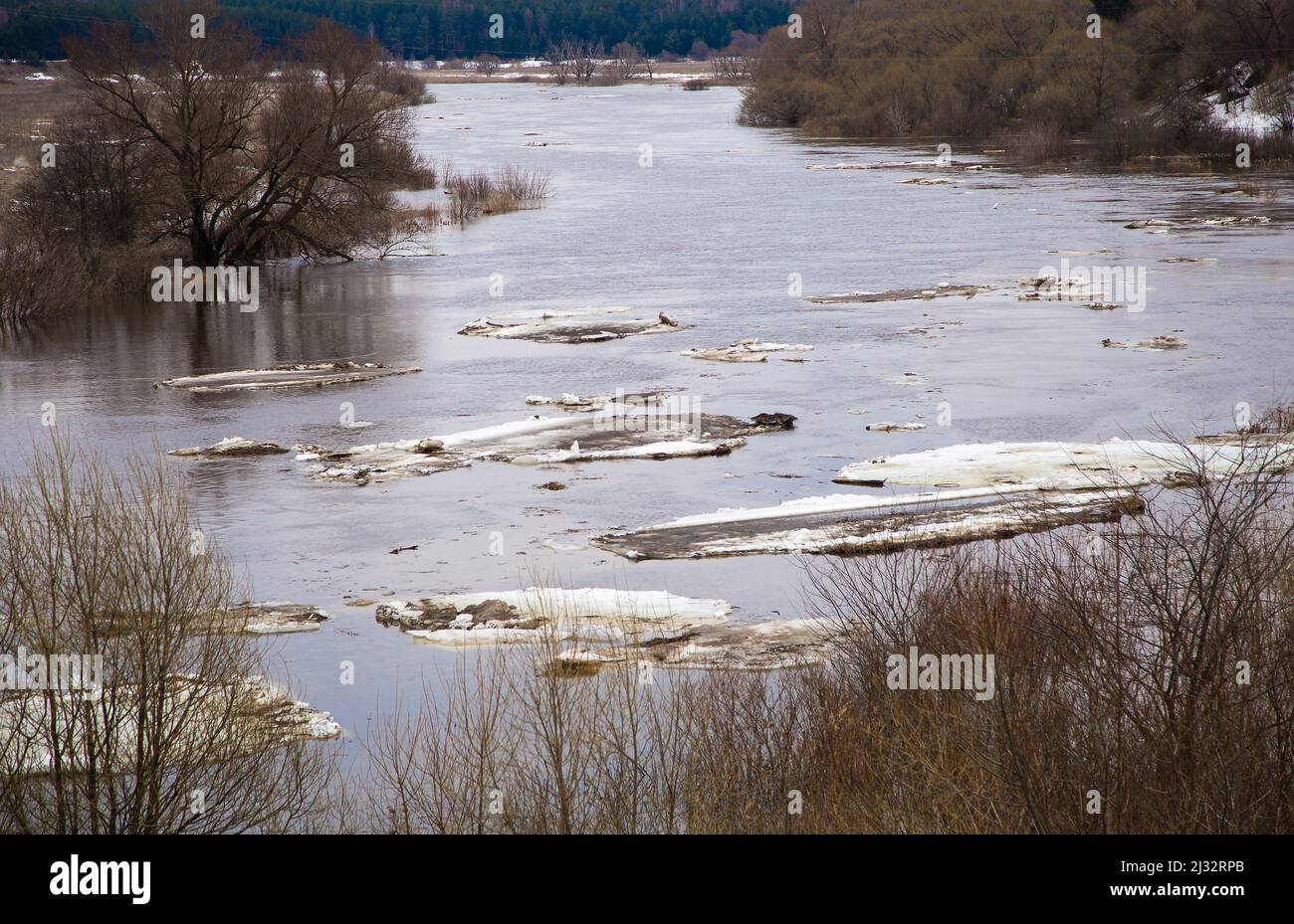 Des flotteurs de glace blanche flottent lentement le long de la rivière. Le printemps, la neige fond, l'herbe sèche tout autour, les inondations commencent et la rivière déborde. Jour, temps nuageux, lumière douce et chaude. Banque D'Images