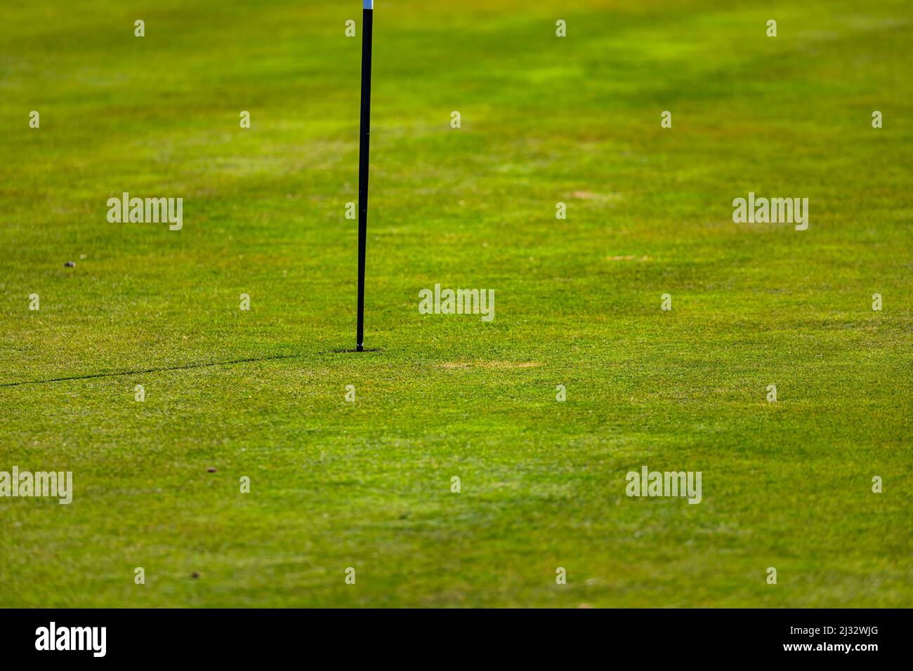 Un drapeau de golf est coincé dans un trou de golf dans une pelouse bien entretenue d'un vert d'un terrain de golf en Allemagne Banque D'Images