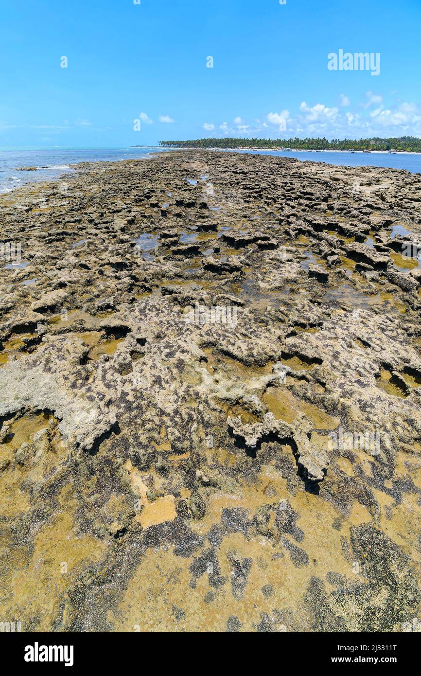 Paysage de récifs avec formations rocheuses des piscines naturelles de Praia dos Carneiros, Tamandares - PE, Brésil. Destination touristique de l'État de Pernambuco. Banque D'Images