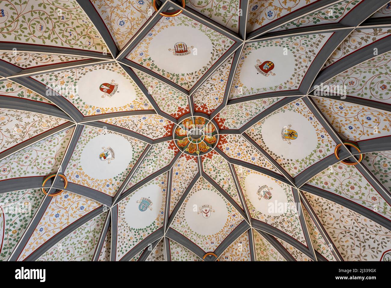 Cour régionale Halle, plafond décoré avec des armes de ville, Halle, Saxe-Anhalt, Allemagne Banque D'Images