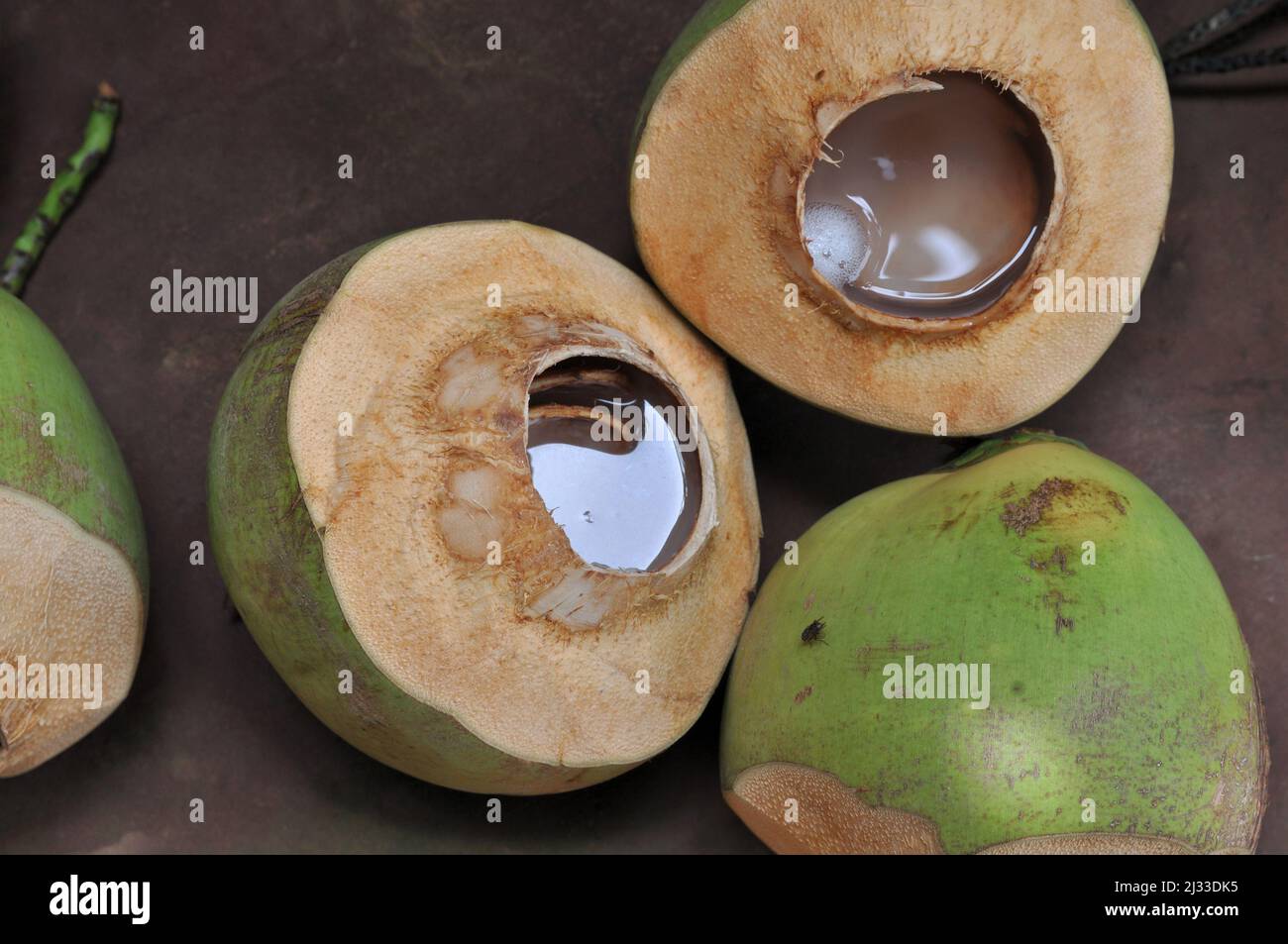 Noix de coco, eau de noix de coco, groupe de noix de coco, savoureux fruits tropicaux, noix de coco à la mouche Banque D'Images