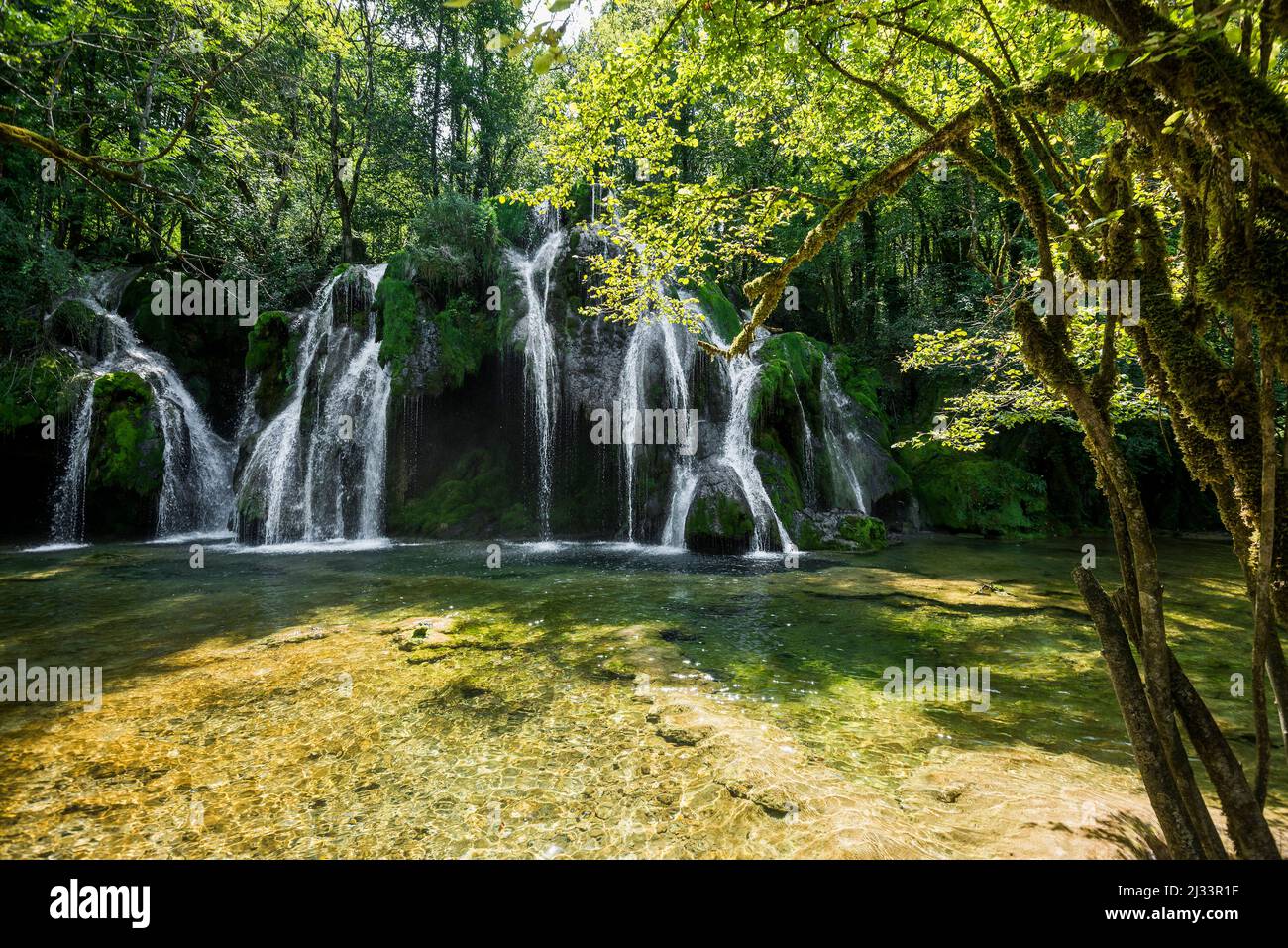 Terrasses de travertin, Cascade des Tufs, Arbois, Jura, Bourgogne-Franche-Comté, Région du Jura, France Banque D'Images