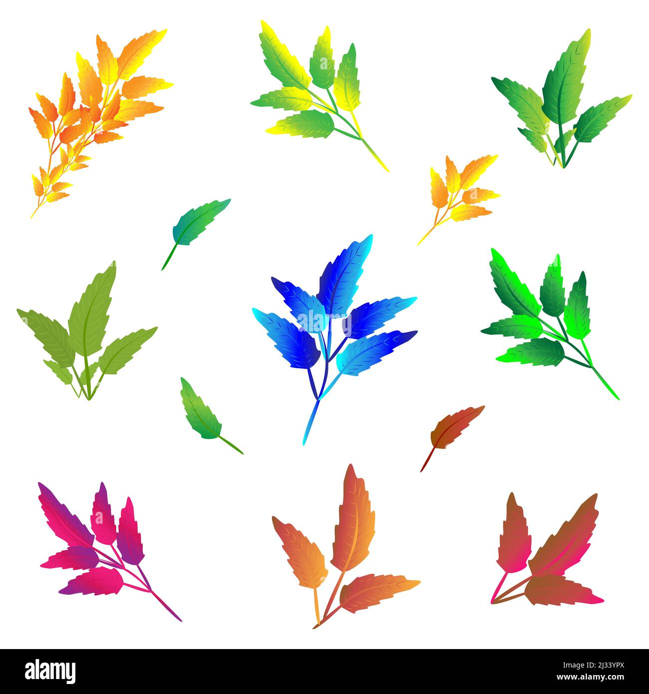 Fleurs feuilles ornementales élégance isolée abstrait arrière-plan art graphique design illustration vectorielle Illustration de Vecteur