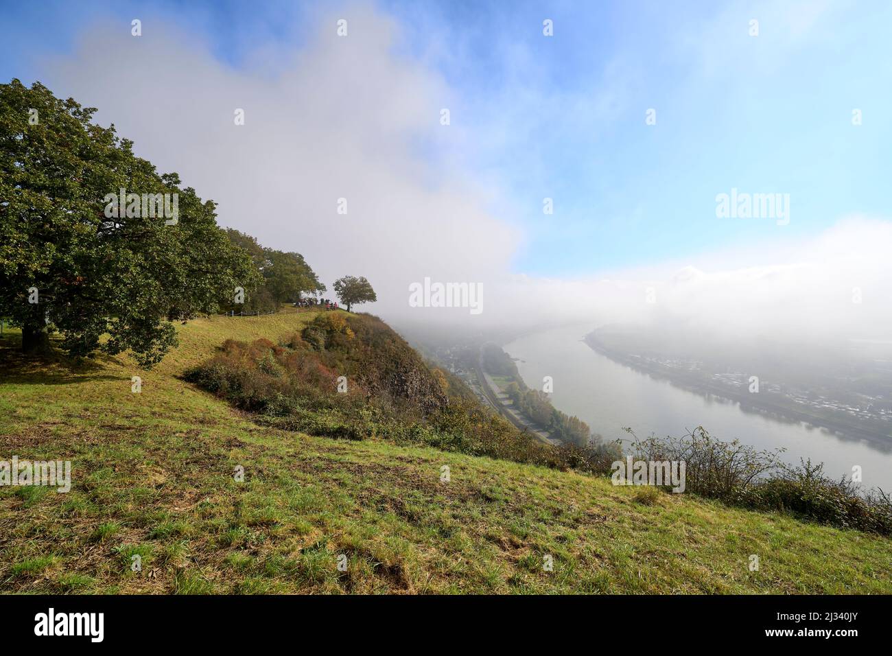 Vue à travers la brume automnale du Rhin vers le sud, Erpel, Rhénanie-Pfamz, Allemagne Banque D'Images