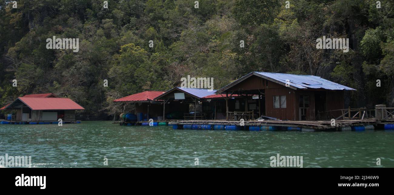 Mangroves de Langkawi Banque D'Images