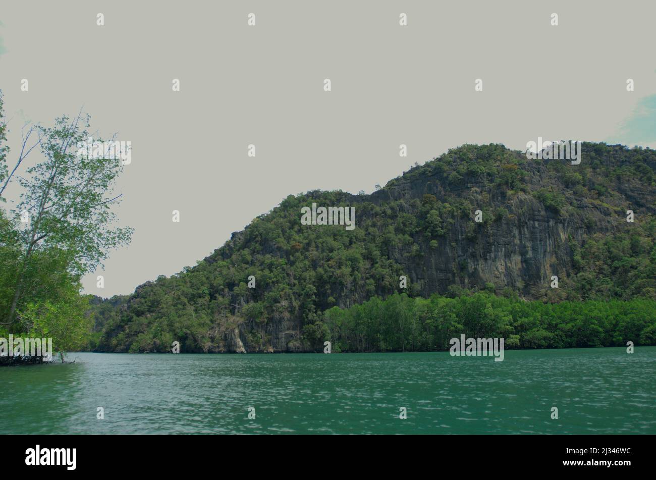 Mangroves de Langkawi Banque D'Images