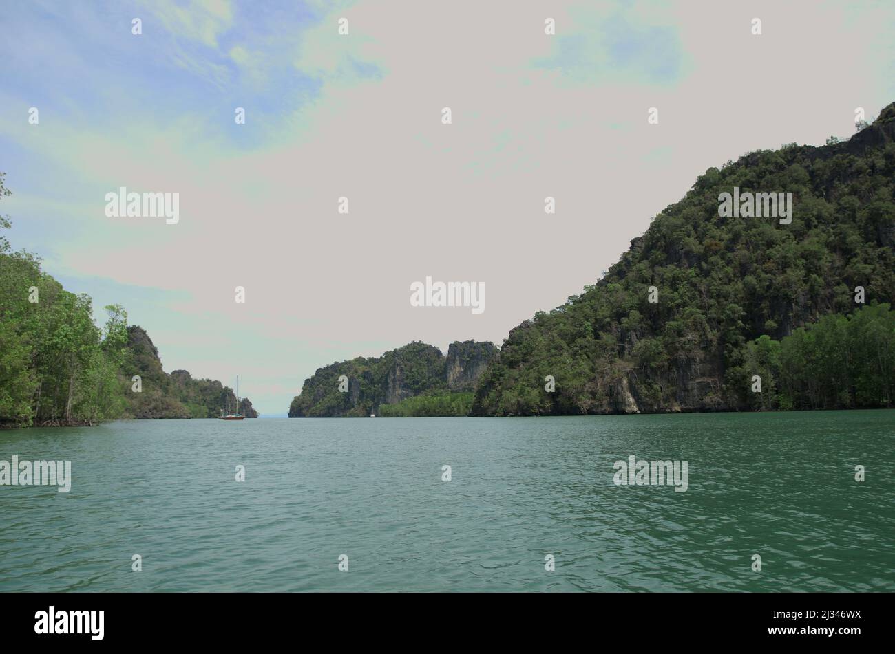 Mangroves de Langkawi Banque D'Images