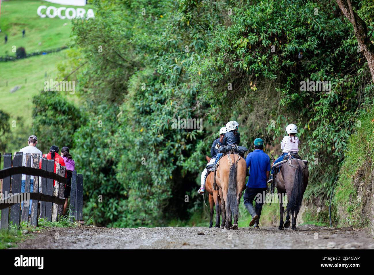 SALENTO, COLOMBIE - JUILLET 2021. Groupe de touristes sur une promenade à cheval dans la vallée de Cocora Banque D'Images