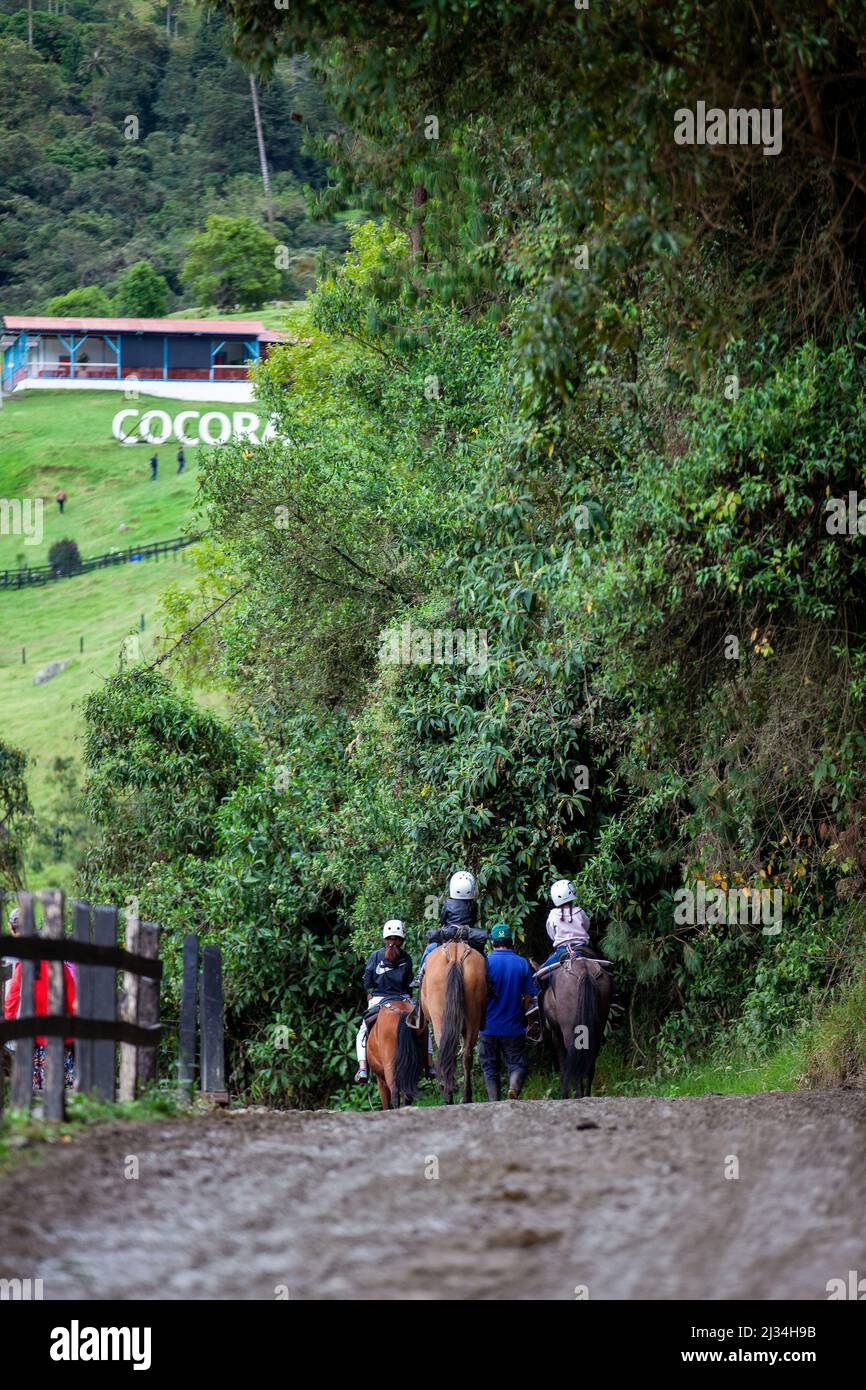 SALENTO, COLOMBIE - JUILLET 2021. Groupe de touristes sur une promenade à cheval dans la vallée de Cocora Banque D'Images