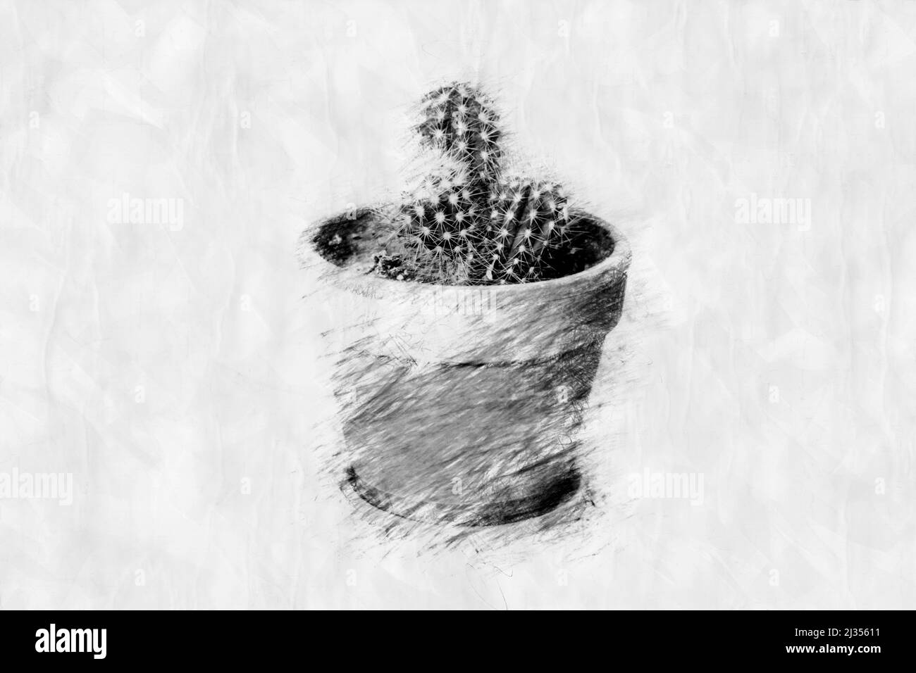 Dessin de plante d interieur croquis Banque d'images noir et blanc - Alamy