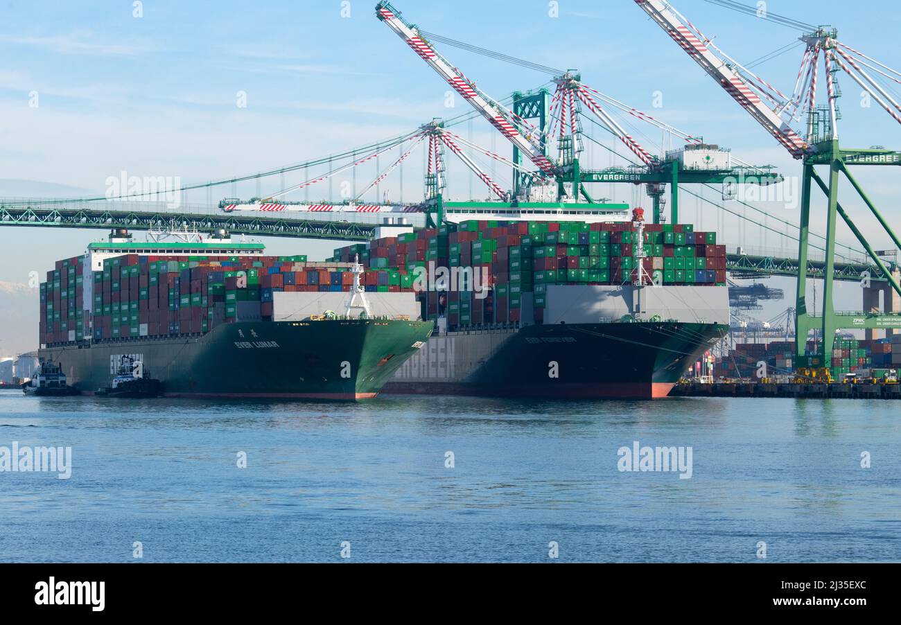 Etats-Unis: Californie: Evergreen container SHIP EVER LUNAR arrivant avec des conteneurs d'expédition à Everport terminal de conteneurs de Los Angeles (Port de LA) Banque D'Images