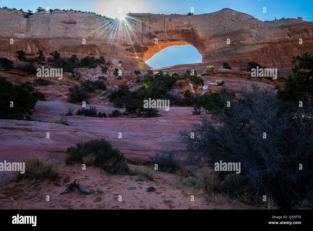 Wilson Arch, dans le sud-est de l'Utah, aux États-Unis. Des arches naturelles sont créées par le vent et le temps sur des années de temps. Banque D'Images