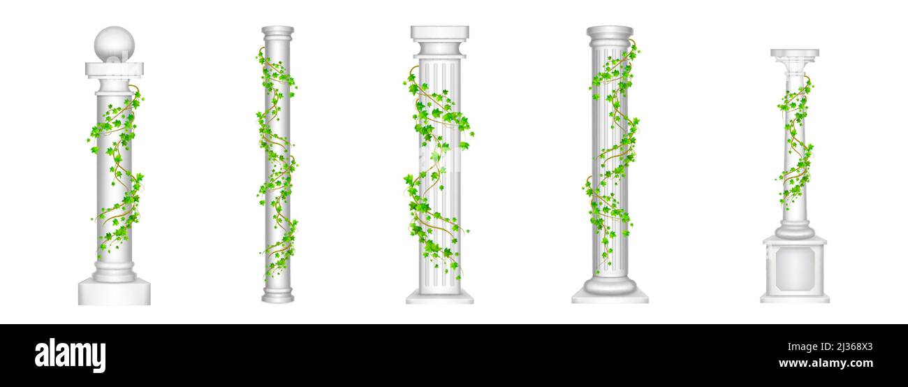 Colonnes Ivy, piliers anciens avec feuilles de liana grimpantes vertes isolées sur fond blanc. Ancienne pierre classique architecture romaine ou grecque pour Illustration de Vecteur