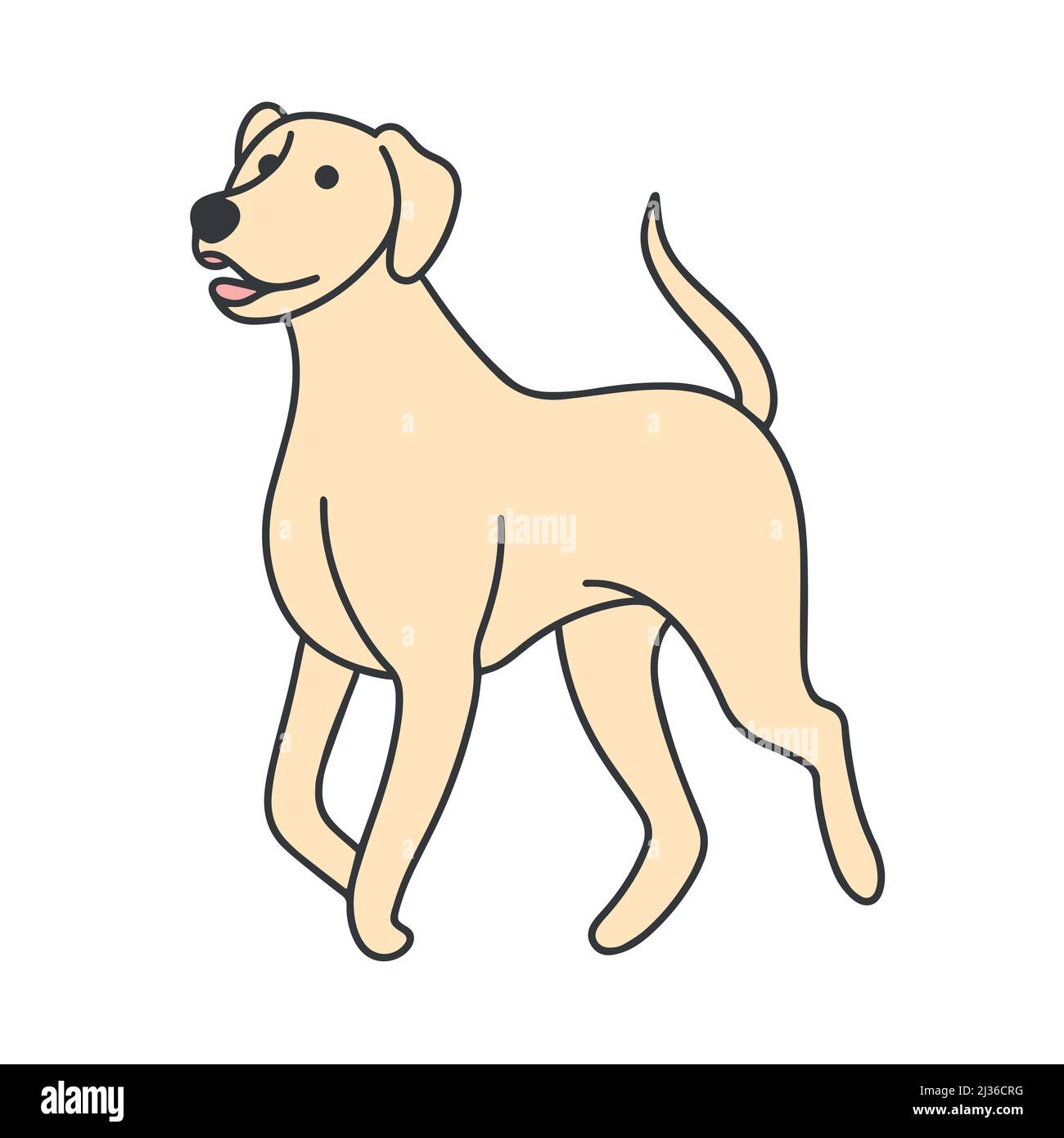 Illustration de l'oedle isolé du Labrador. Animal de compagnie dessiné à la main. Image vectorielle de chien Illustration de Vecteur