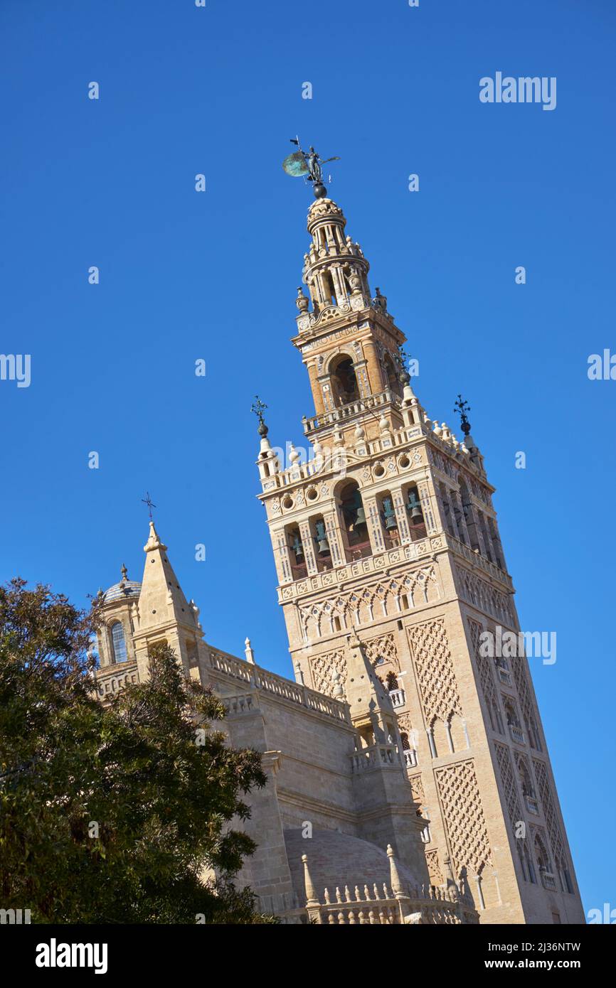 Le clocher de Giralda, Cathédrale, Séville, Espagne Banque D'Images
