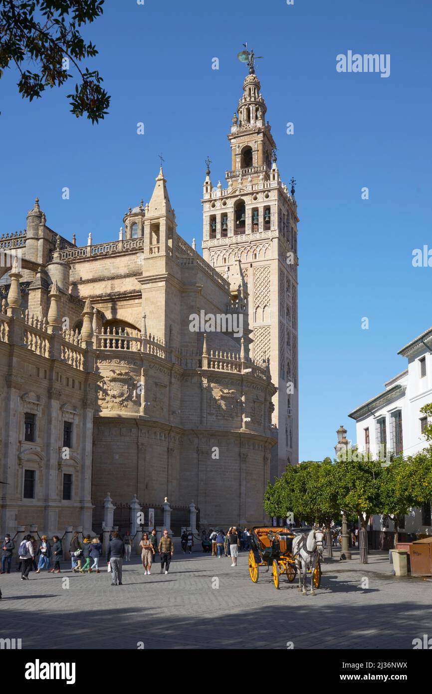 Le clocher de Giralda, Cathédrale, Séville, Espagne avec cheval et calèche Banque D'Images