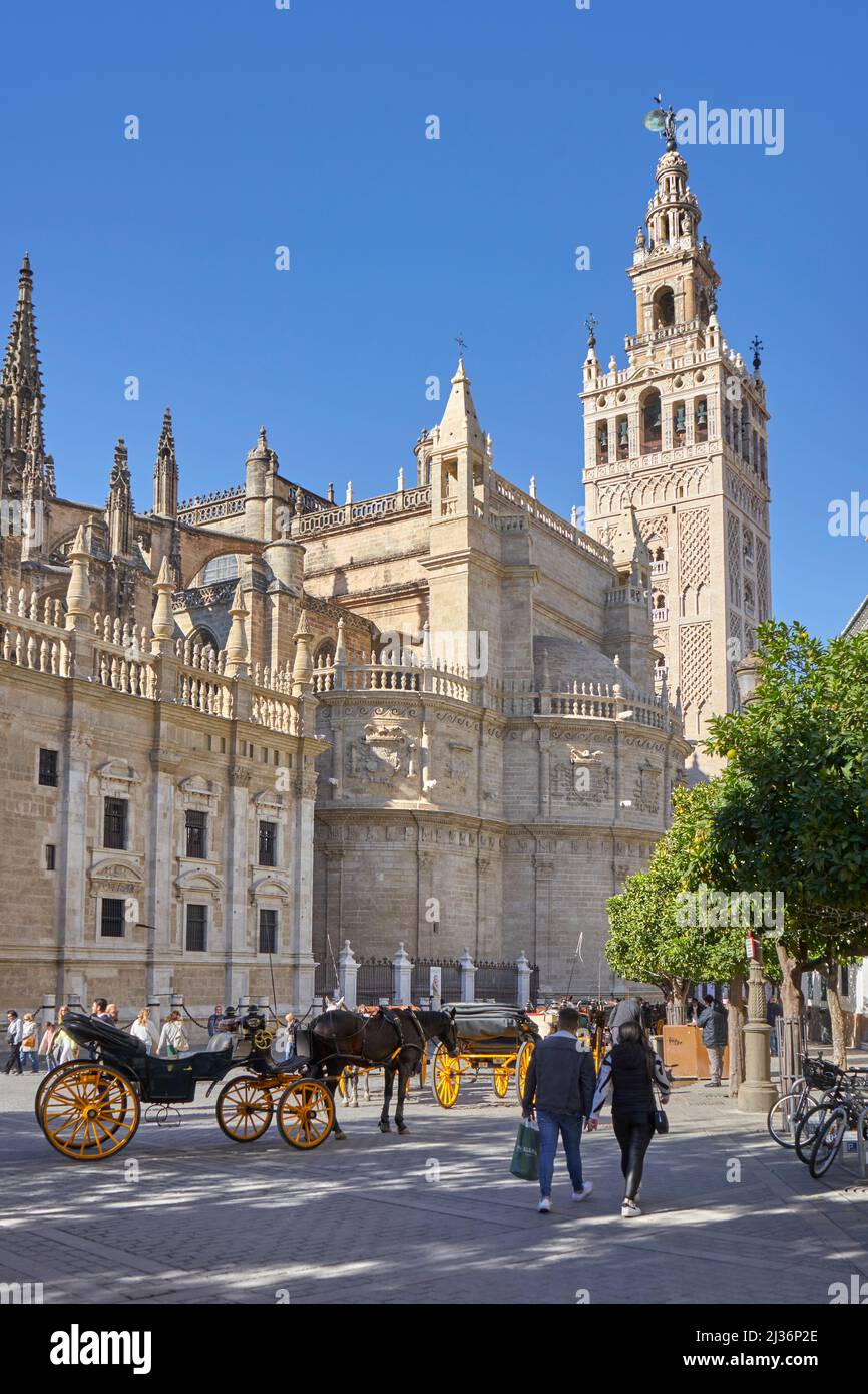 Le clocher de Giralda, Cathédrale, Séville, Espagne avec cheval et calèche Banque D'Images