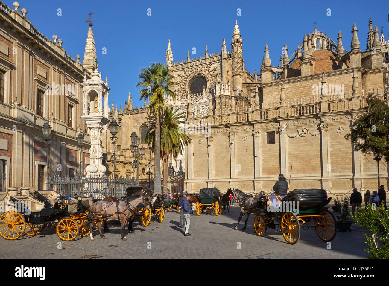 Parc de chevaux et de calèche, Catherdrique de Séville, Andalousie, Espagne Banque D'Images