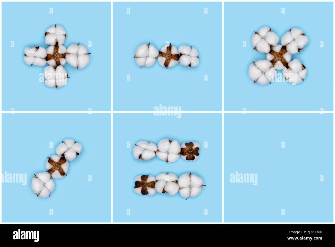 Kit de signes mathématiques de base fait de fleurs de coton et isolé sur fond bleu Uni. Concept de l'alphabet floral et des chiffres. Partie de l'ensemble de coton f Banque D'Images