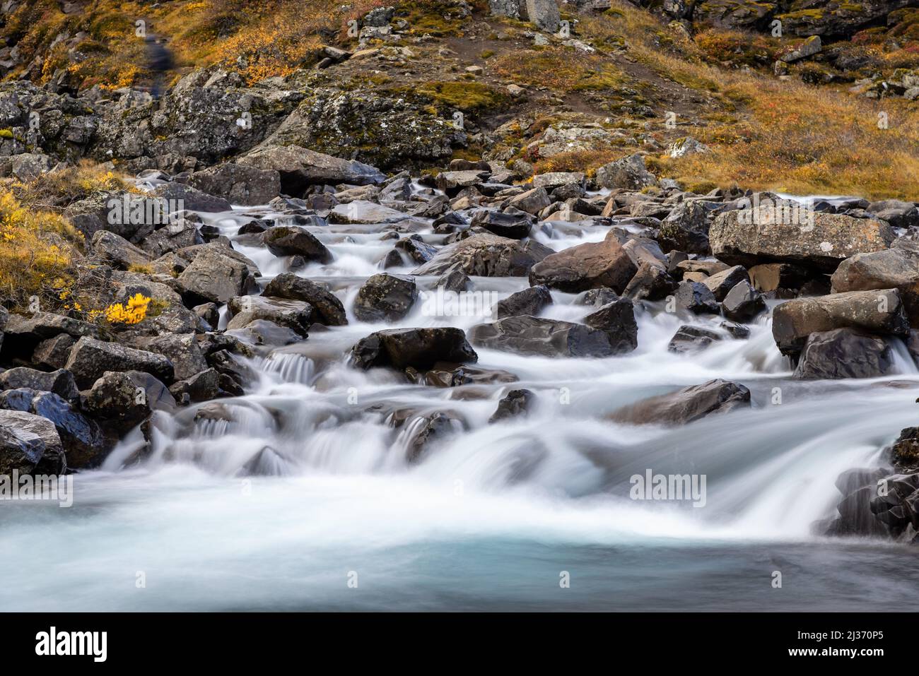 Détail de la cascade de Foladafoss dans les fjords de l'est, en Islande. Une longue exposition a été filmée sur l'eau glacée à l'automne, en train de s'extuber au-dessus des roches volcaniques. Banque D'Images