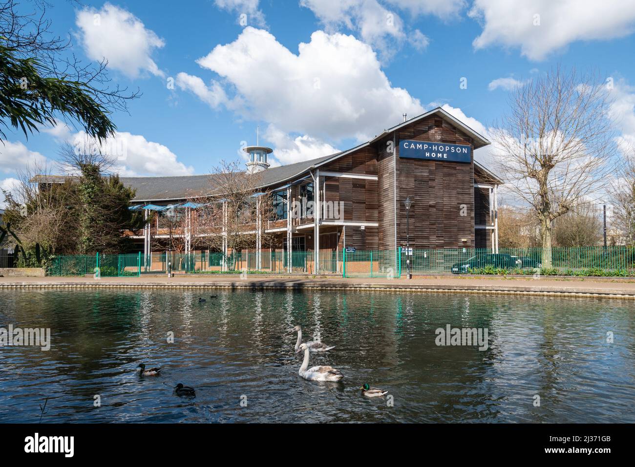 Swans sur le canal Kennet et Avon à Newbury avec Camp Hopson Home magasin de meubles, Berkshire, Angleterre, Royaume-Uni Banque D'Images
