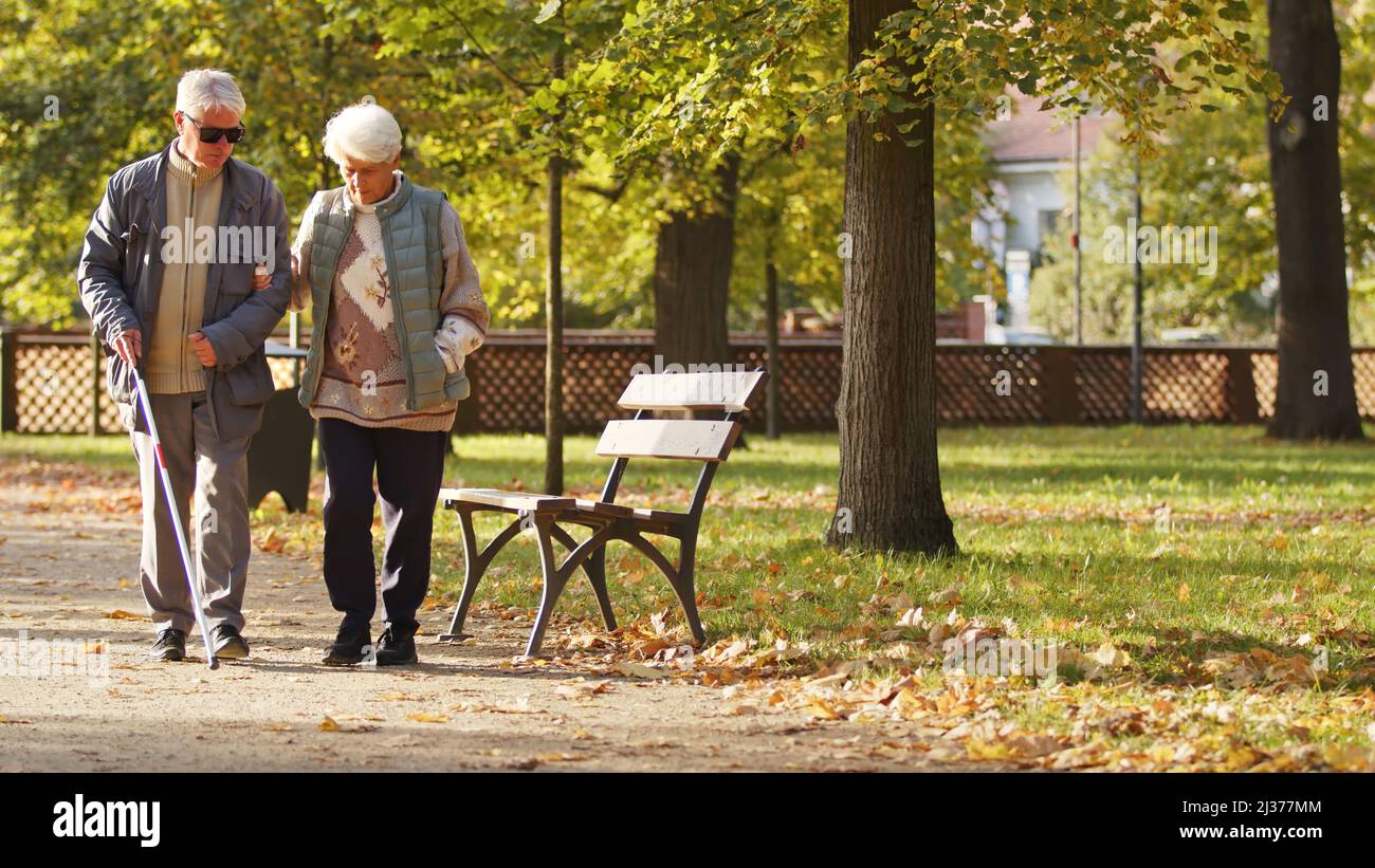 Personnes âgées Caucasiens couple marcher dans le parc handicapés aveugle homme dans des lunettes utilise un bâton et sa femme l'aide à aller handicapés personnes support concept plein plan sélectif foyer copie espace arrière-plan du parc . Photo de haute qualité Banque D'Images