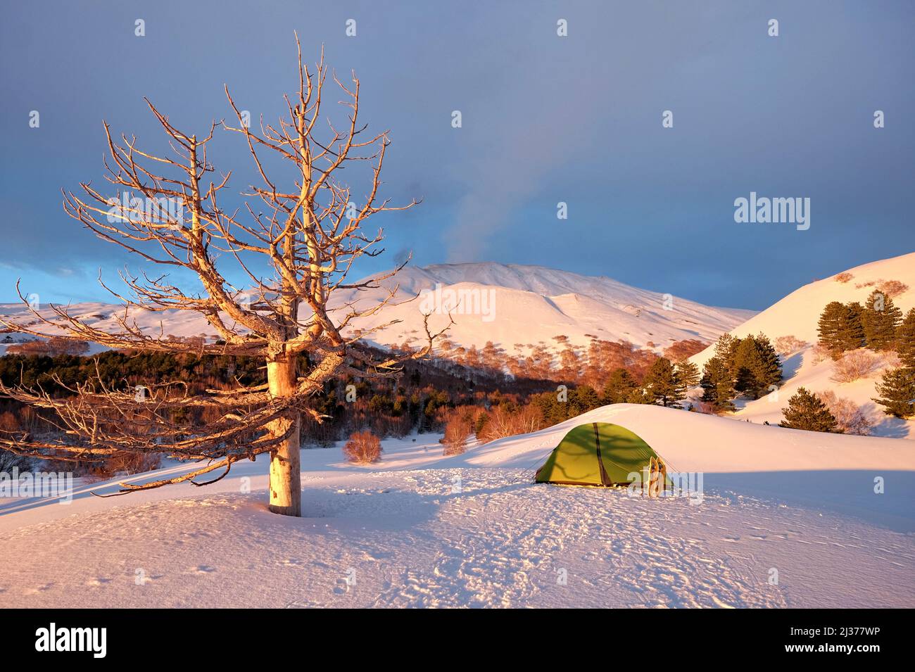 Tente verte et arbre mort dans la lumière du matin de l'hiver Etna Park, Sicile Banque D'Images
