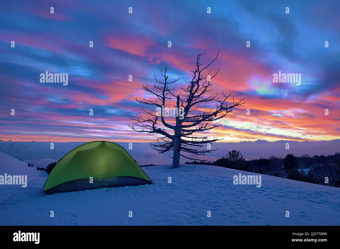 Tente verte et arbre mort à l'aube en hiver Etna Park, Sicile Banque D'Images