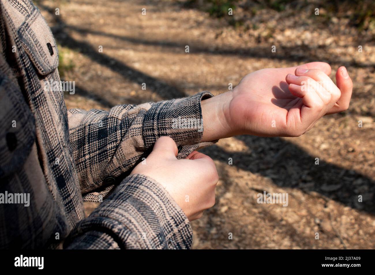Homme bouton haut de marron et crème couleur chemise manche, homme avec des mains de chemise de bûcherons dans la nature, préparation Banque D'Images