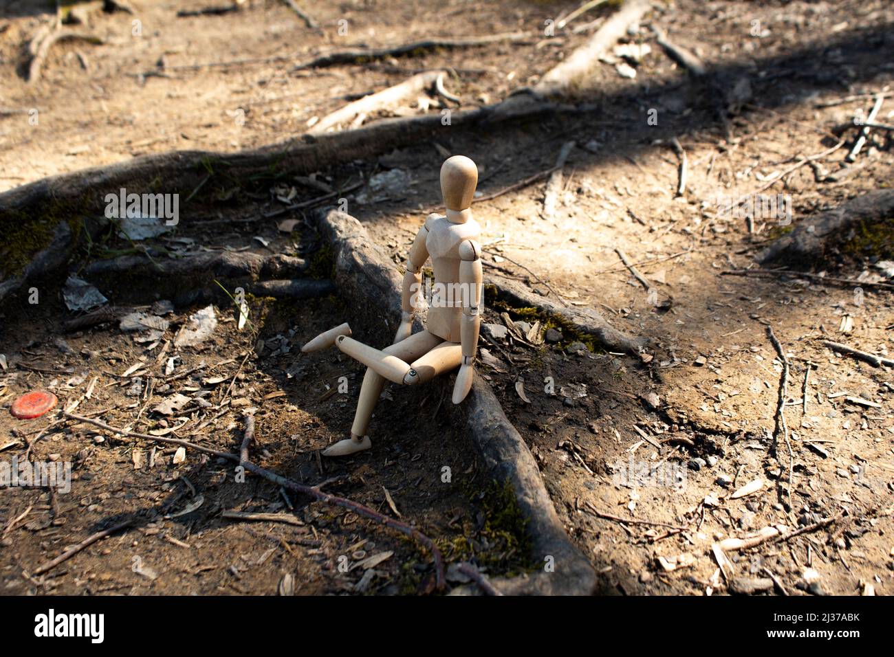 Le mannequin en bois s'assoit sur des racines d'arbres qui regardent la forêt, les pattes de marionnettes en bois croisées, vue latérale, concept d'automne, arrière-plan de la forêt Banque D'Images
