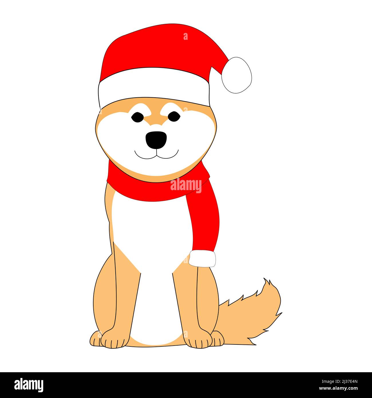 Shiba Inu dans la clause Santa chapeau et tricoté avec fond blanc Banque D'Images