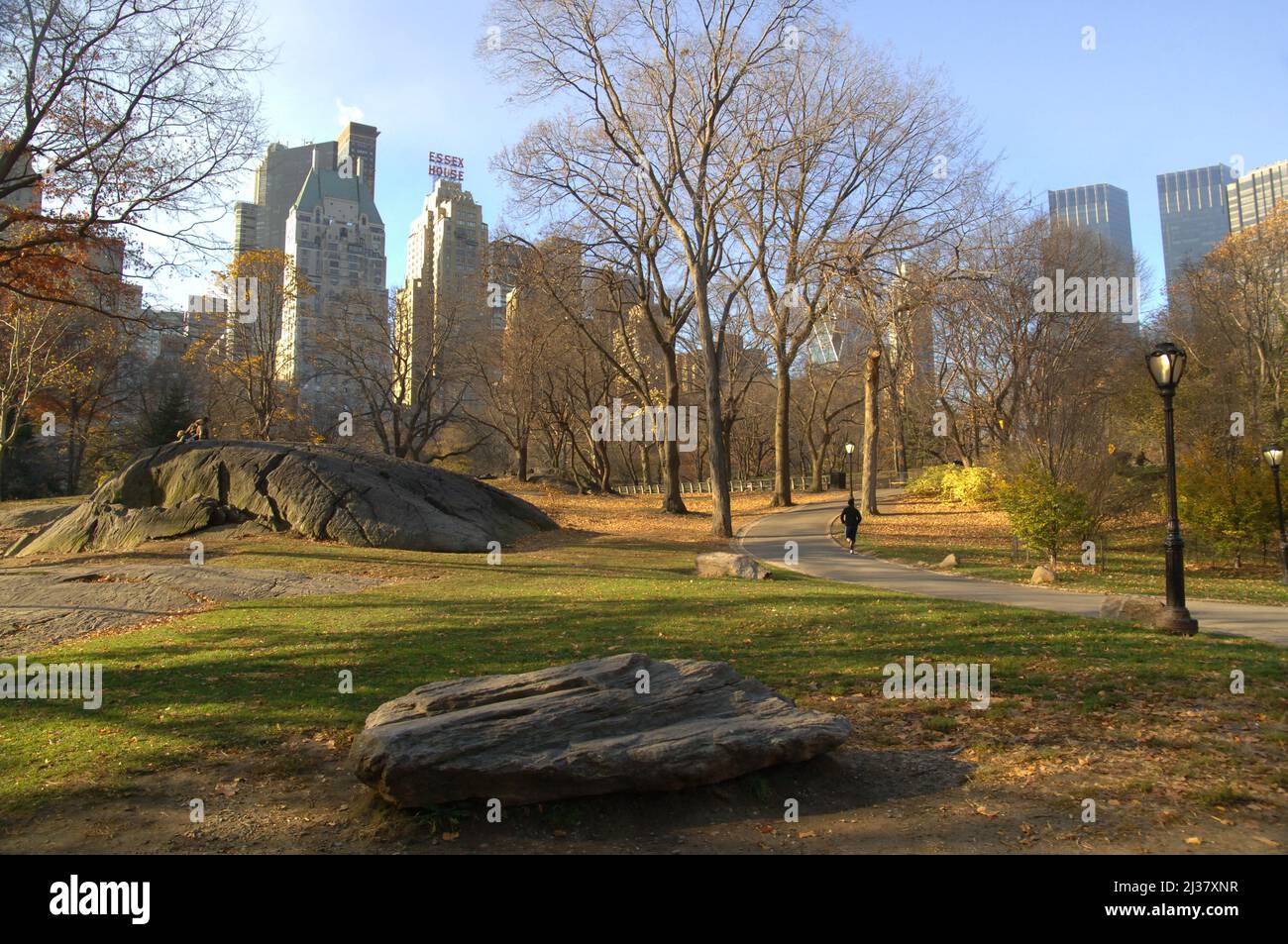 Vue sur Central Park, New York, États-Unis. Banque D'Images