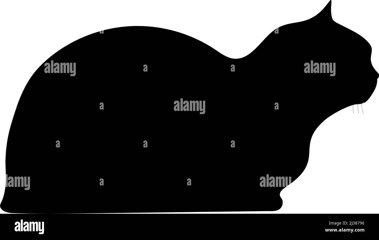 Silhouette noire d'un chat sur fond blanc. Image vectorielle. Illustration de Vecteur