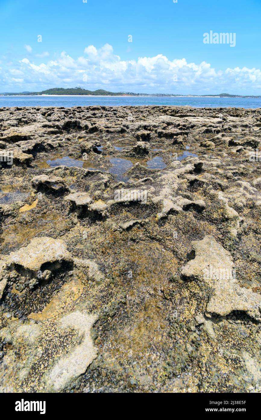 Paysage de récifs avec formations rocheuses des piscines naturelles de Praia dos Carneiros, Tamandares - PE, Brésil. Destination touristique de l'État de Pernambuco. Banque D'Images