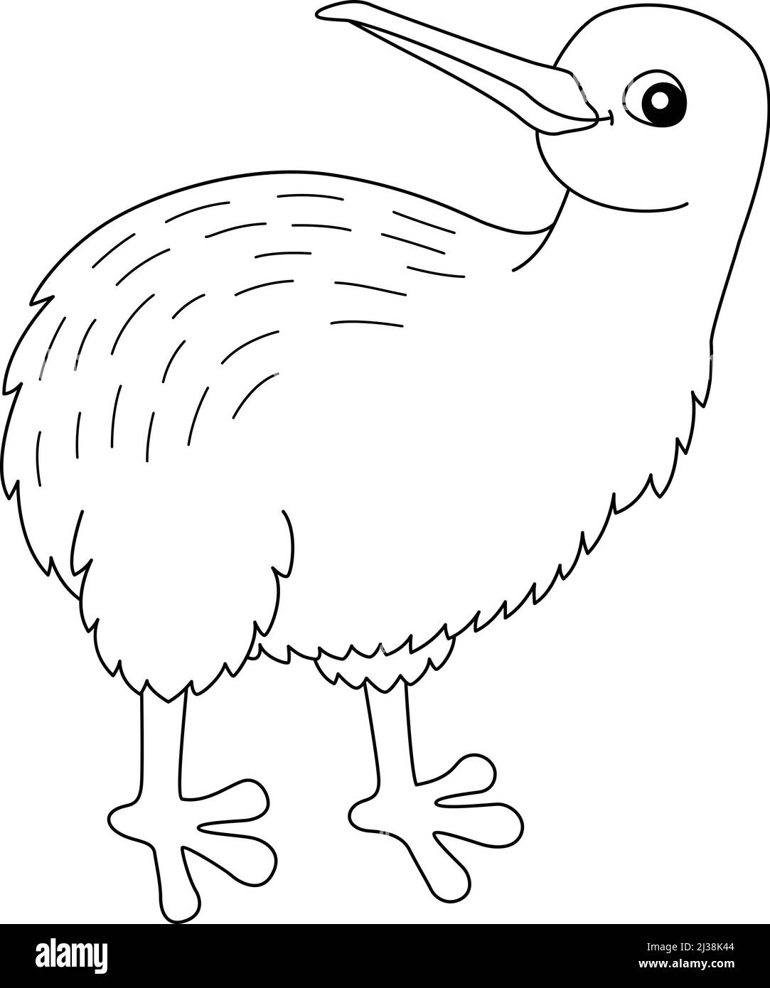 Kiwi Animal coloriage page isolé pour les enfants Illustration de Vecteur