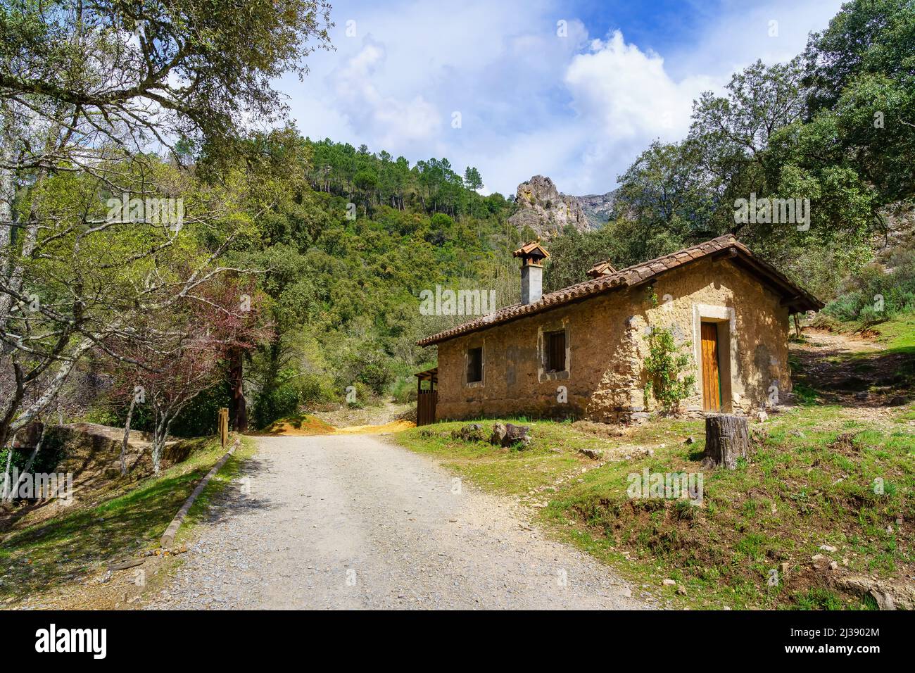 Petite maison en pierre sur la montagne à l'intérieur de la forêt avec une végétation luxuriante. Banque D'Images