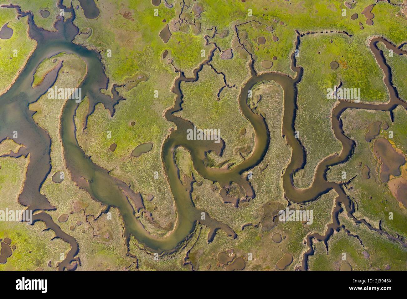 Wells National Estuarine Research Reserve, Wells, ME, États-Unis Banque D'Images