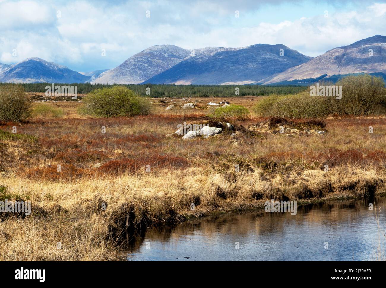 Paysage du Connemara avec une partie des montagnes des douze Bens en arrière-plan; Connemara, comté de Galway, Irlande Banque D'Images