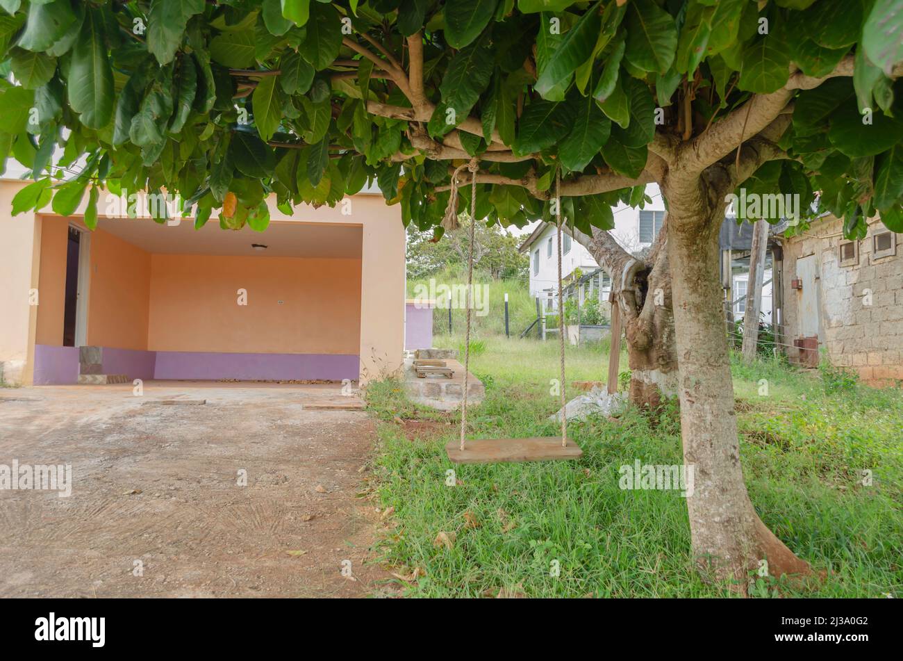 Swinger Suspend d'Almond Tree Banque D'Images