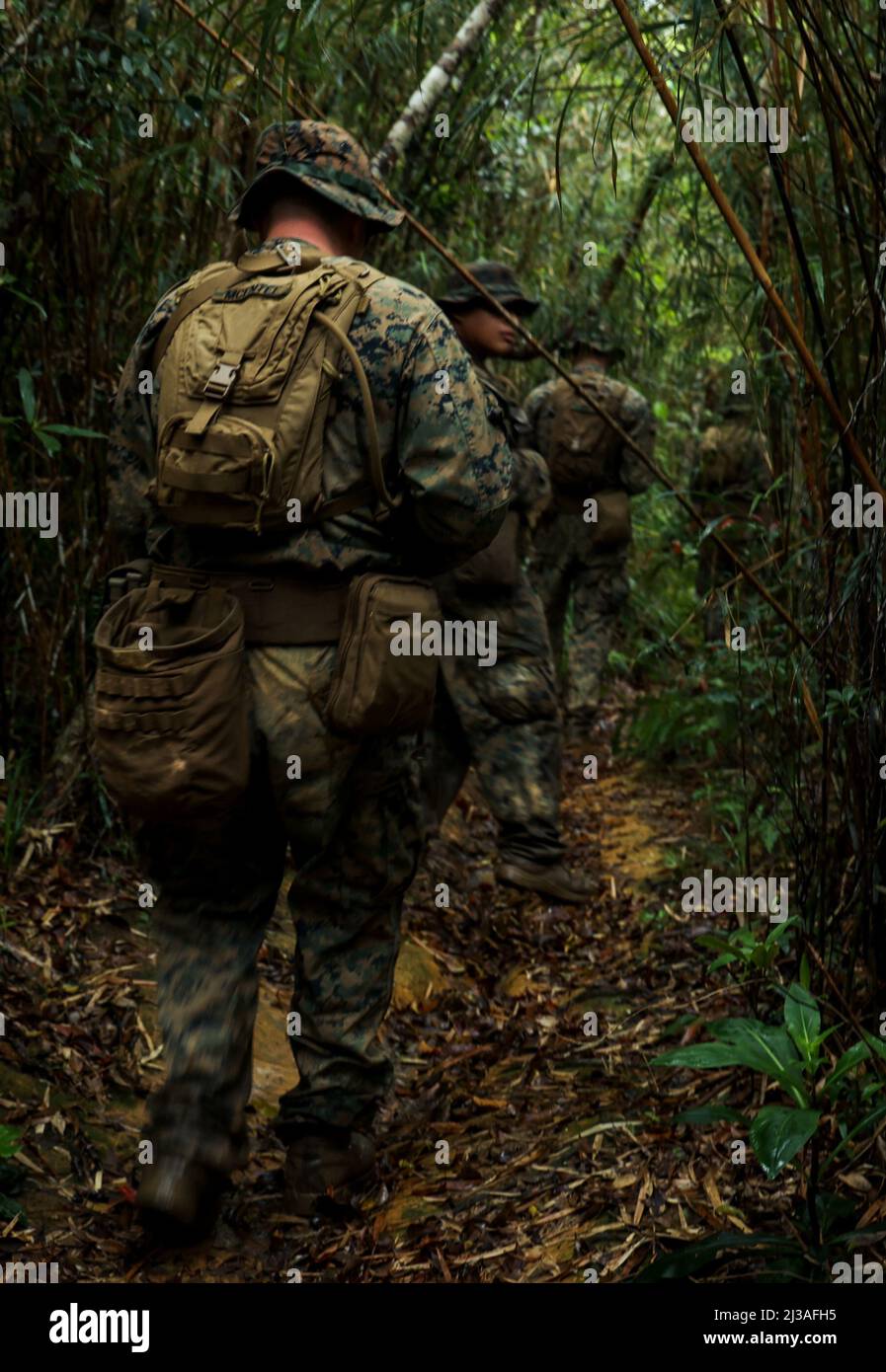 Les Marines des États-Unis avec 3D Intelligence Battalion, III Marine Expeditionary Force information Group, traversent la jungle pendant un cours de navigation terrestre au Jungle Warfare Training Center, Camp Gonsalves, Okinawa, Japon, le 23 mars, 2022. La navigation terrestre a été effectuée dans le cadre d'un exercice général de Jungle Field, qui a eu lieu les 21 et 25 mars. Au cours de la FEX, III MIG Marines a exercé sa capacité à mener des opérations distribuées dans un environnement austère. Le JWTC offre un terrain difficile qui se trouve sur de nombreuses îles de l'Indo-Pacifique. La maîtrise de ce terrain contribue à II Banque D'Images