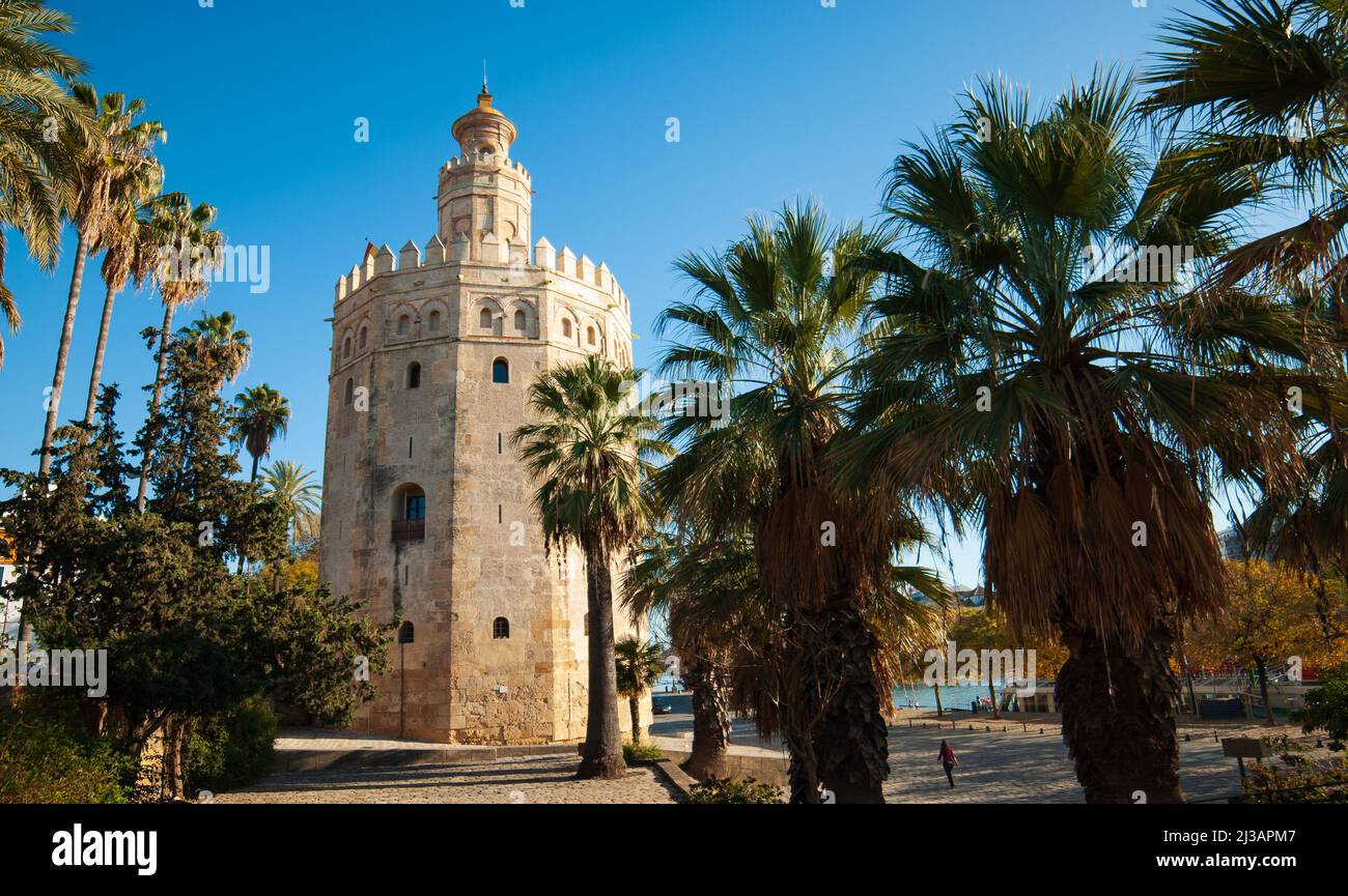 la tour d'or sur le fleuve guadalquivir à séville en andalousie espagne Banque D'Images