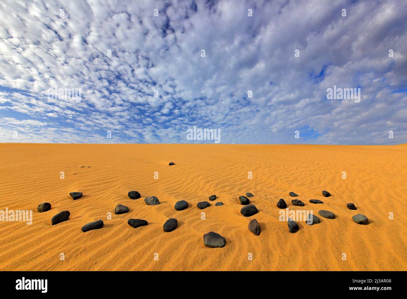 Paysage sec d'été en Afrique. Pierre de galet noire. Vagues de sable dans la nature sauvage. Dunas Maspalomas, Grande Canarie, Espagne. Sable jaune. Sable désert avec Banque D'Images