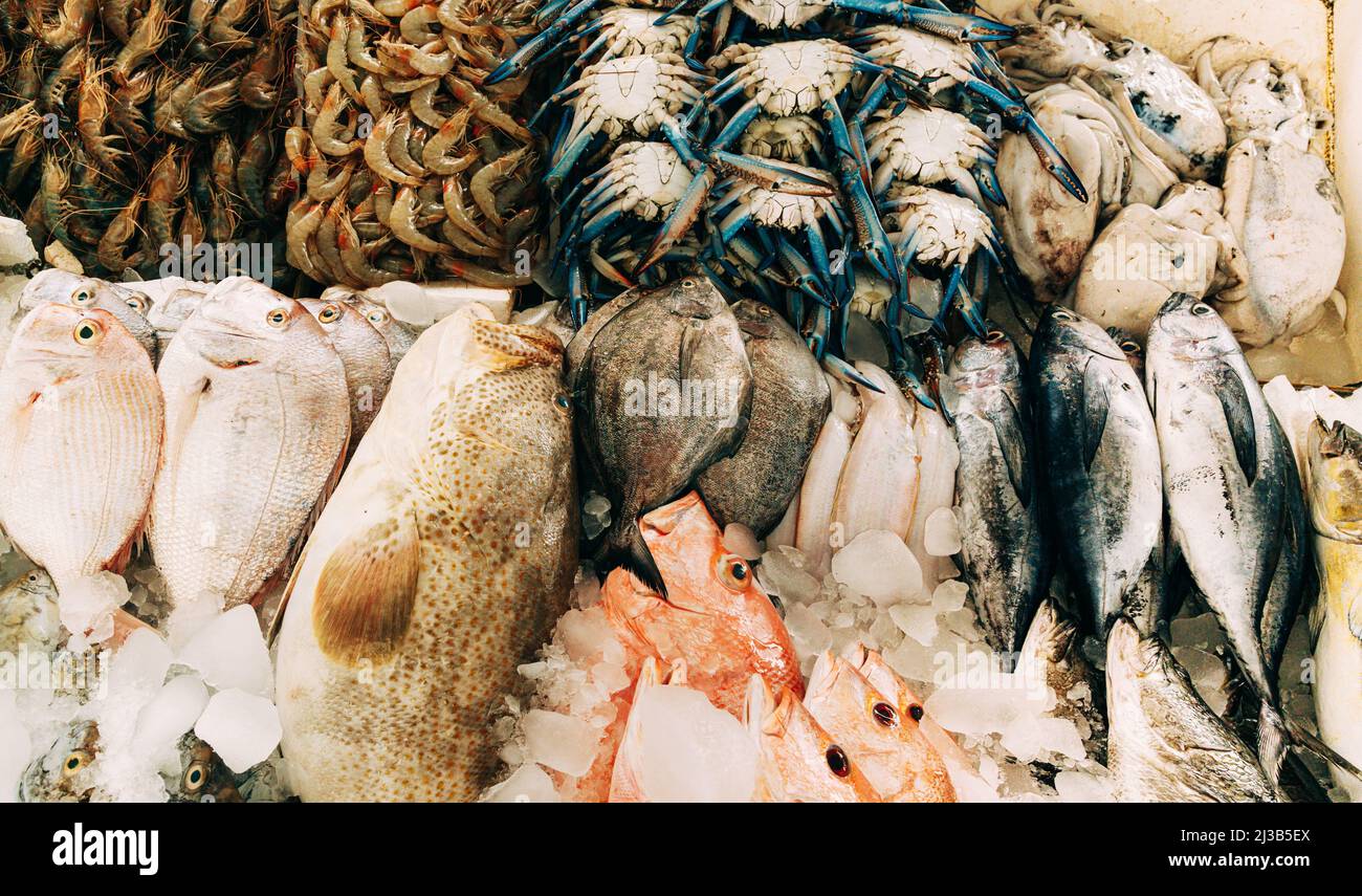 Poisson frais exposé sur glace dans la boutique du marché des pêcheurs. Poisson de fruits de mer, crevettes, crabe bleu, poisson frais. Fond de poisson de fruits de mer. Vue de dessus Banque D'Images