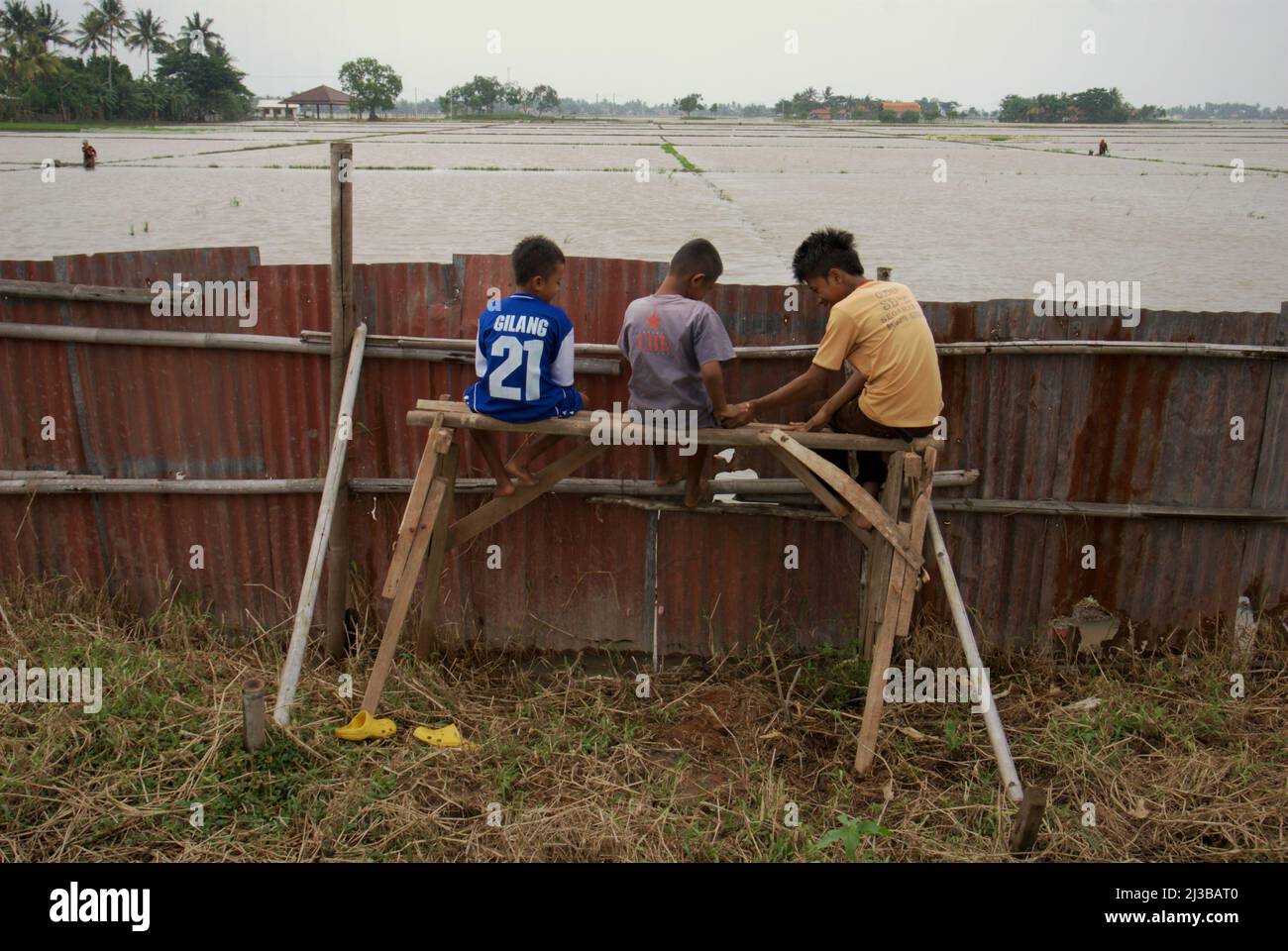 Un groupe d'enfants qui ont un moment de loisir comme ils sont assis sur une plate-forme en bois derrière une clôture en zinc, surplombant un champ de riz inondé à Batujaya, Karawang, West Java, Indonésie. Des conditions de temps extrêmes pourraient détruire la récolte. Trouver le juste équilibre entre trop et trop peu d'eau peut être une difficulté pour de nombreux riziculteurs, en particulier en Asie, où plus de 90 pour cent du riz mondial est produit, selon une publication de septembre 2021 sur Science News. Banque D'Images