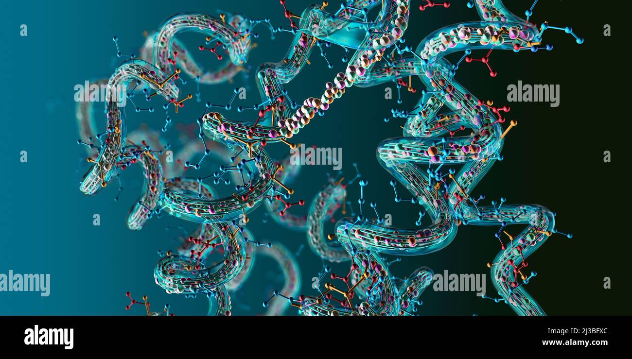 Chaîne d'acides aminés ou de molécules bio appelées protéines - illustration 3d Banque D'Images