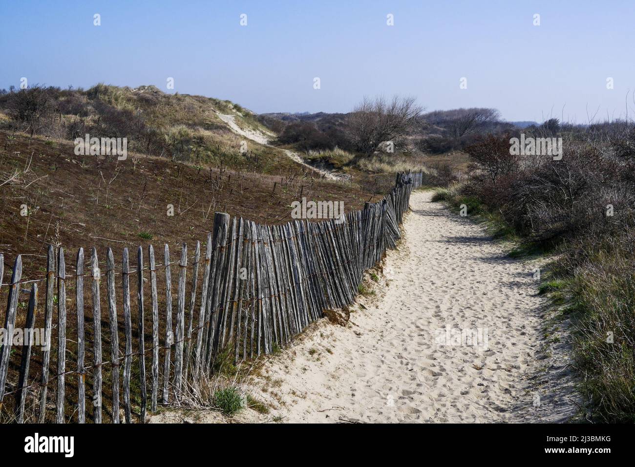 Dune du Perroquet - Dune de Parrot, Bray-Dunes, Nord, hauts-de-France, France Banque D'Images